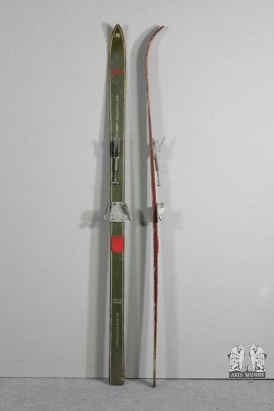 Skier