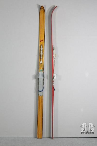 Skier