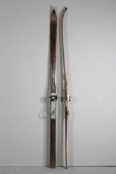 Skier
