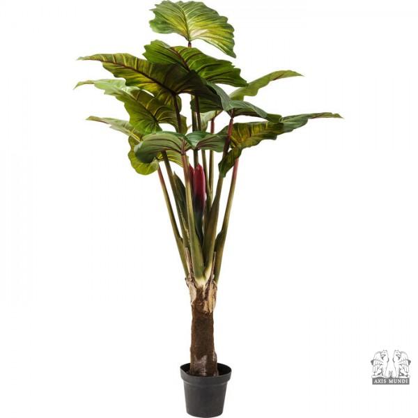Deko Pflanze "Rainforest"