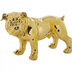 Bulldogge, Hund, gold