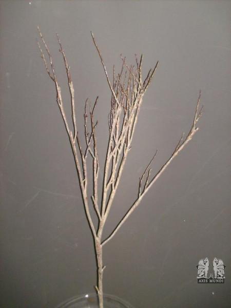 Art.-Nr.: 101885