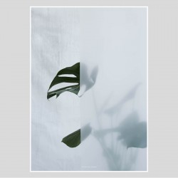Poster Split-Leaf