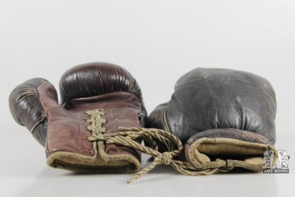 Boxhandschuhe