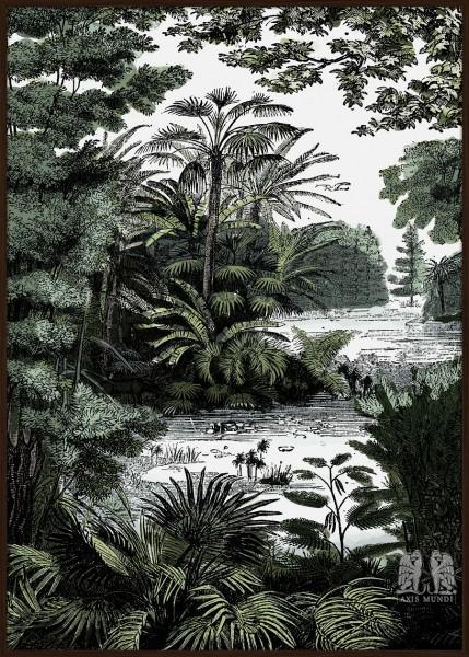 Bild Tropical Forest II