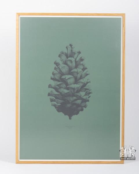 Wandbild "Pine Cone"