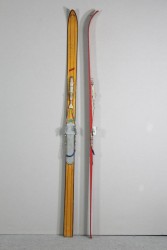 Skier