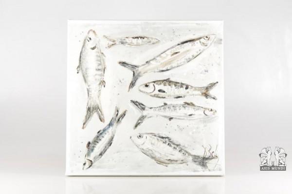 Bild 7 Fische