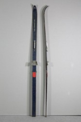 Skier