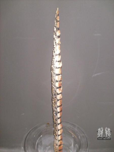 Art.-Nr.: 101881