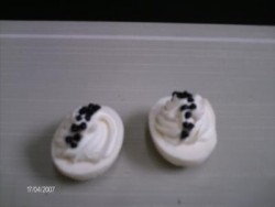 Art.-Nr.: 102233
