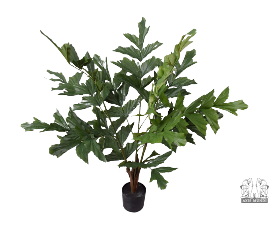 Pflanze "PALME"