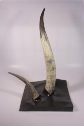 Art.-Nr.: 107562