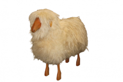 Schaf