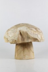 Holzpilz