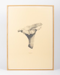 Wandbild "Chanterelle"