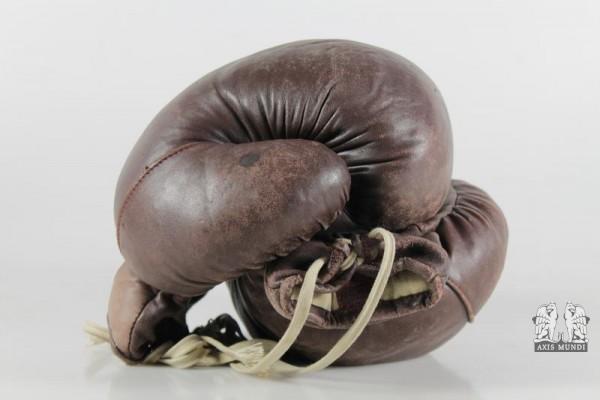 Boxhandschuhe