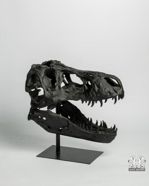 Deko Dinosaurier Schädel