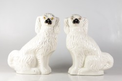 Puffhunde