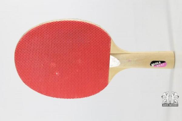 Tischtennisschläger