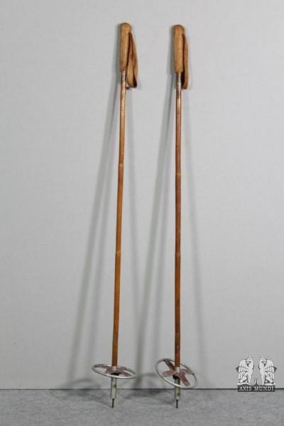 Skistöcke