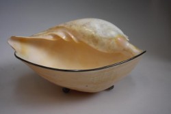 Art.-Nr.: 105012