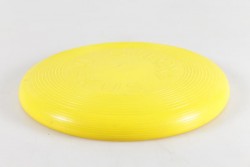 Frisbee