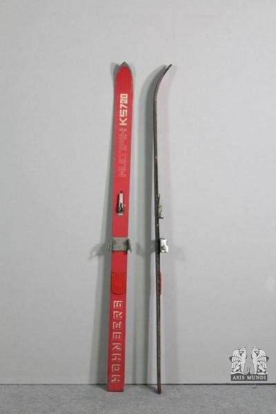 Skier