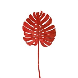 Monstera Blatt
