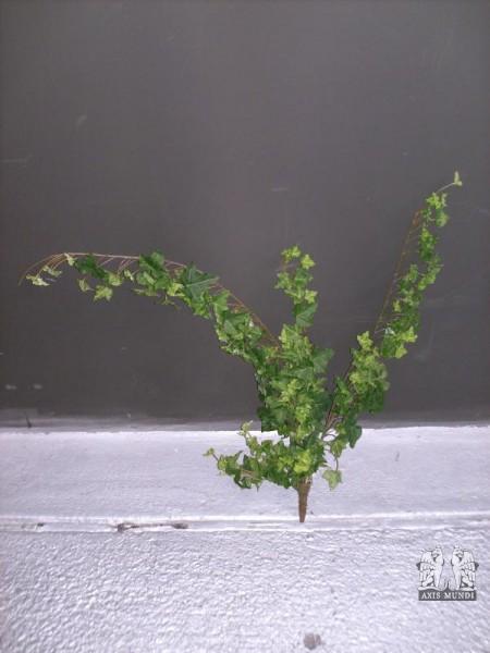 Art.-Nr.: 101863