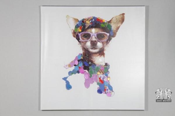 Bild Hund mit Brille