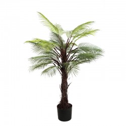 Palme