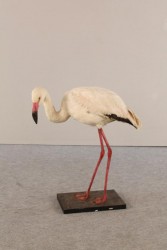 Art.-Nr.: 110024