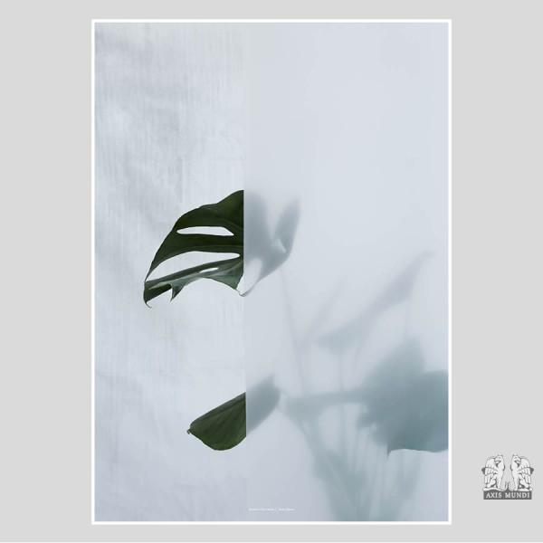 Poster Split-Leaf