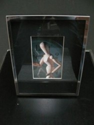 Art.-Nr.: 102198