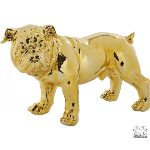 Bulldogge, Hund, gold