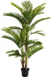 Deko Pflanze Palm Tree