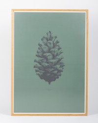 Wandbild "Pine Cone"