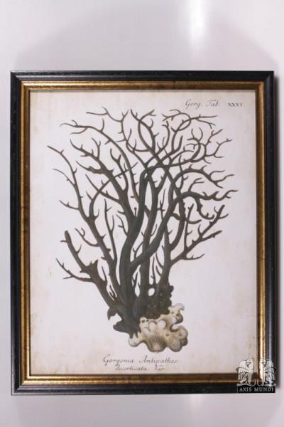 Art.-Nr.: 109737
