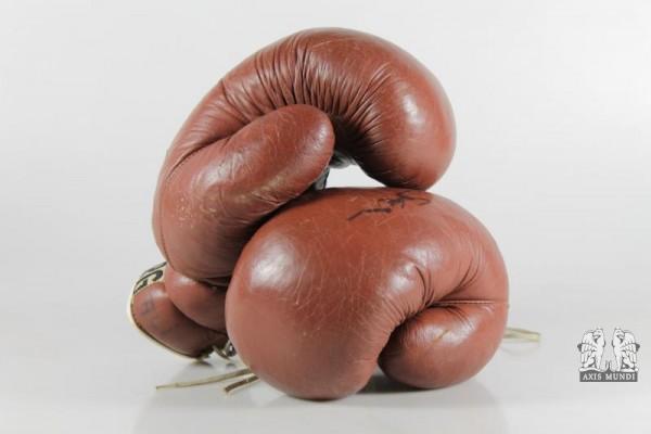 Boxhandschuhe