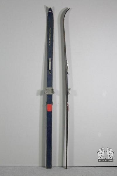 Skier