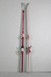 Skier