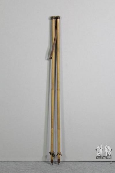 Skistöcke