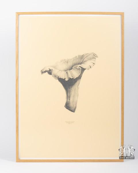 Wandbild "Chanterelle"