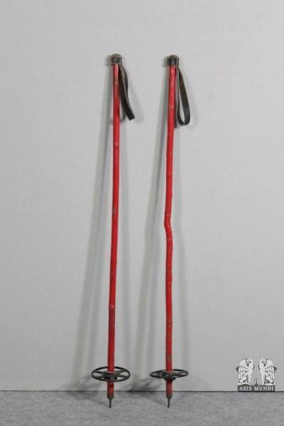 Skistöcke