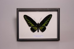 Art.-Nr.: 106764