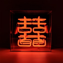 Neonleuchte "DOUBLE HAPPINESS"
