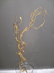Art.-Nr.: 101870