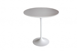 Tulip Table Small