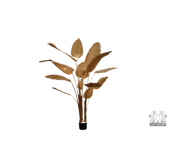 Pflanze "STRELITZIA"